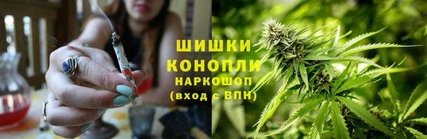 прущая мука Алзамай