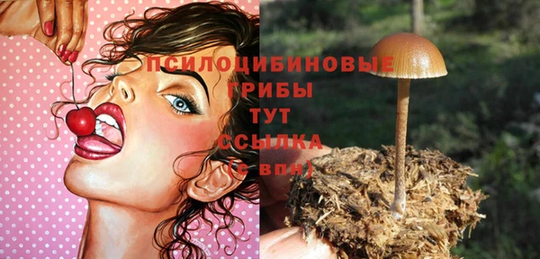 прущий лед Алексин