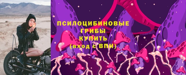 ешки Алексеевка