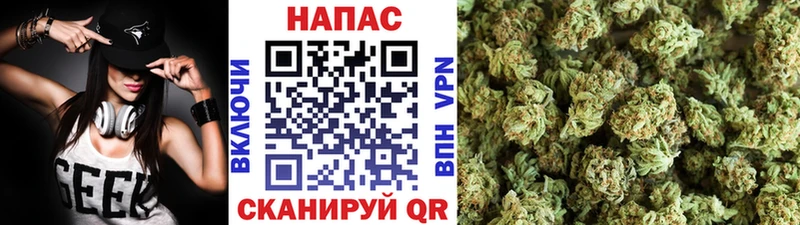 Канабис планчик  Плавск 